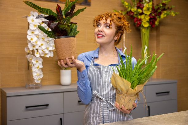 在一家花店里，年轻的姜汁花匠图片下载