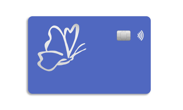 蓝色的银行卡和银色的蝴蝶图片下载