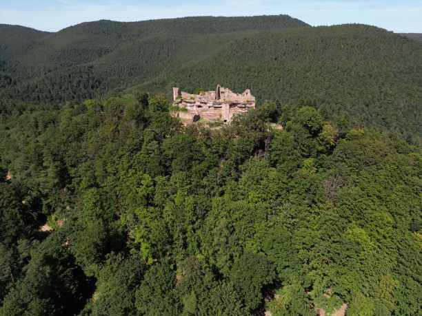 鸟瞰森林中被绿色自然包围的废弃旧建筑图片下载