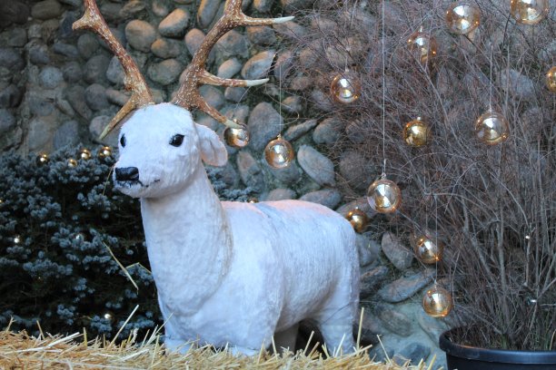 白色驯鹿的木偶图片下载