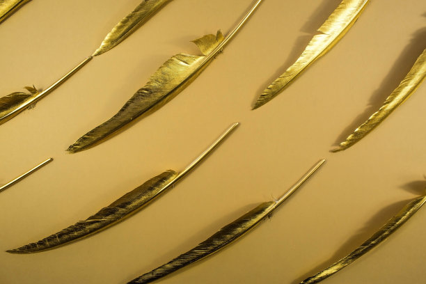 金羽毛。金色羽毛图案与时尚的黄色背景。从高处俯瞰。断然。图片下载
