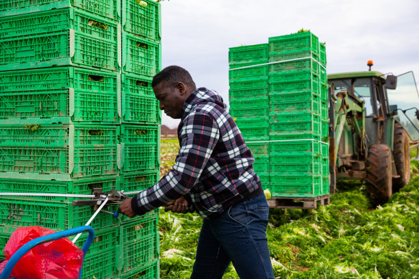 高兴的人准备收割，准备运输图片下载