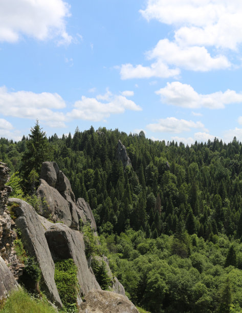森林里的大石崖。古堡遗址。山上的巨石。图片下载
