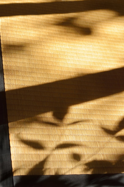 榻榻米上的影子图片下载