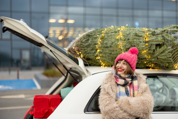 一个女人在为寒假购物图片下载