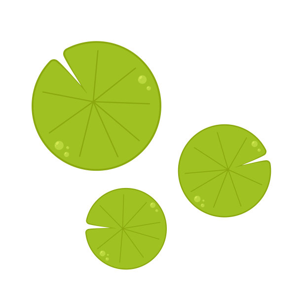 睡莲叶矢量。百合卡通矢量在白色背景。图片下载