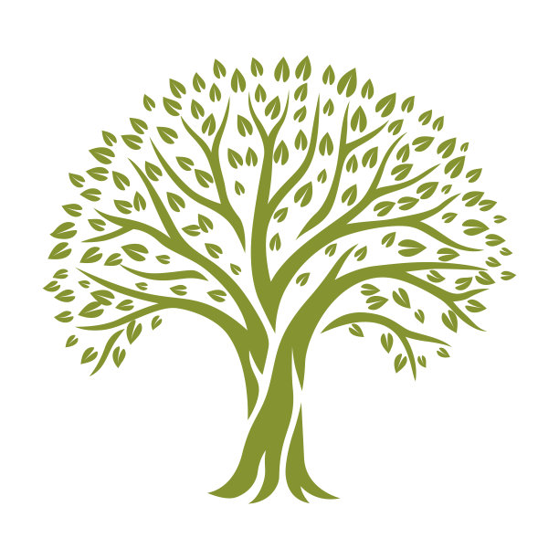 春天或夏天有绿叶的树。自然的插图。图片下载