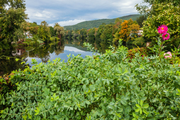 美国马萨诸塞州谢尔本瀑布的花之桥图片下载