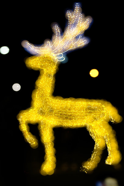被黄色led灯照亮的圣诞鹿图片下载