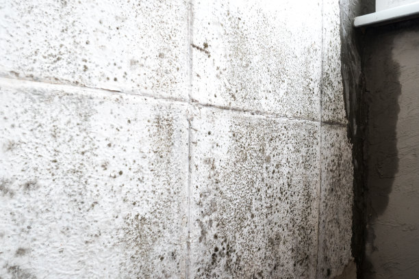 家里的墙上长了很多黑霉真菌。潮湿问题概念。窗户上结了水珠。图片下载