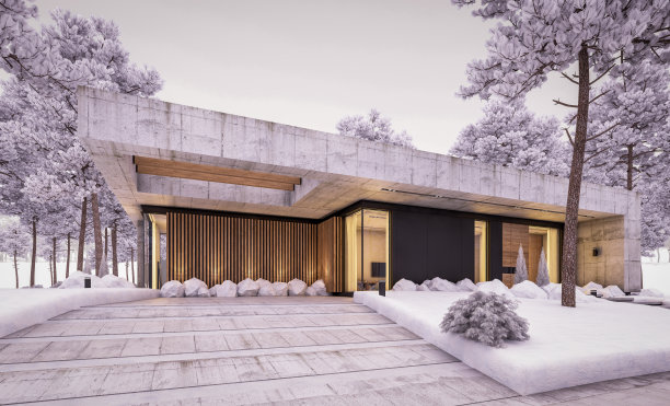 三维渲染的新混凝土房子在冬季晚上的现代风格图片下载