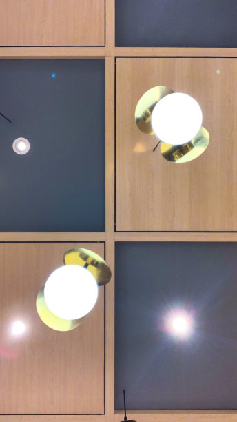 家庭天花板吊坠灯图片下载