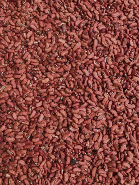 烘干长豆籽图片下载