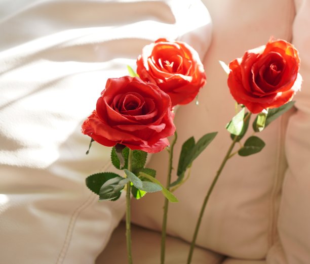图为白色沙发上，一束手工制作的红玫瑰。图片下载