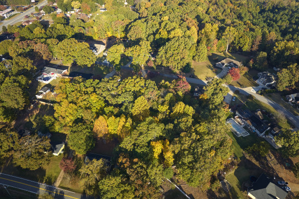 在南卡罗来纳郊区的黄色秋天树之间，从上面看昂贵的住宅。以美国郊区房地产开发为例图片下载
