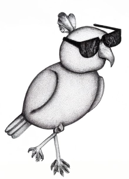 好奇的鸟，画画的动物图片下载