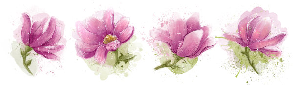 白色背景上的一组水彩花蕾。图片下载