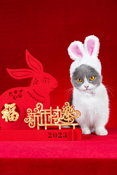 一只可爱的猫戴着一顶兔子耳朵的帽子，旁边是一个中国新年吉祥物，剪纸翻译的中文都是吉祥和快乐，中国新年没有标志没有商标图片下载