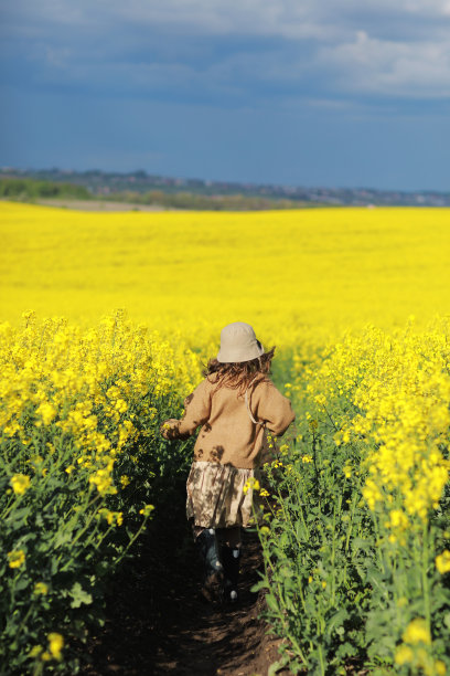 夏天，孩子们在大自然中玩耍和奔跑。可爱的小女孩在油菜地里。暑假的概念图片下载