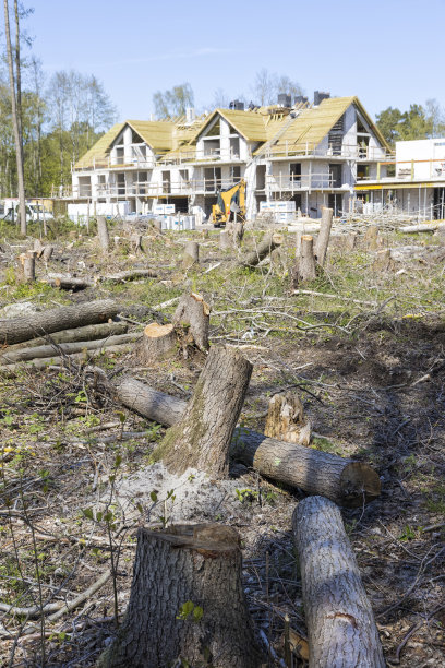为了建造住宅区而砍伐森林图片下载
