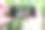 用你的手机拍下新鲜采摘的覆盆子图片下载