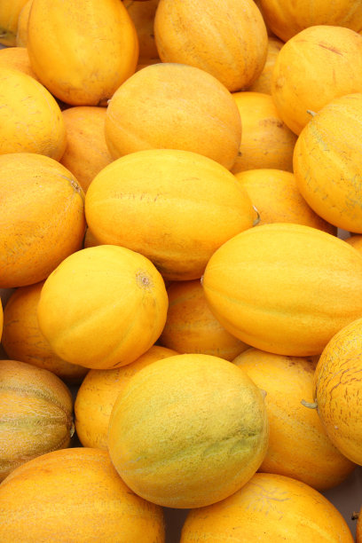 黄色哈密瓜图片下载