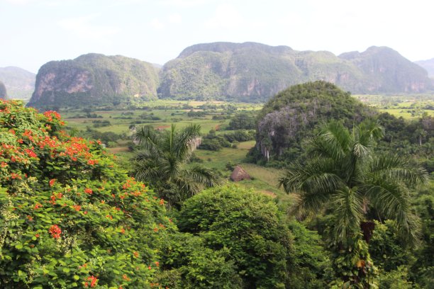 Cuba - Viñales Valley - landscape图片下载