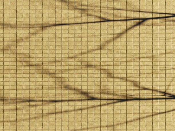 背景阴影花插图3d渲染壁纸背景日落夏天光概念艺术抽象图片下载