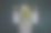 通过打开的阳台门，可以看到废弃的建筑房间图片下载