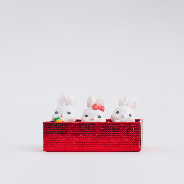 白色背景上的小白兔。极简风格的创意贺卡设计。2023年中国农历新年作文。兔年。图片下载