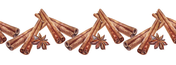 无缝边缘水彩八店和肉桂在白色背景。手绘调味品茴香甜点或饮料，烹饪书或厨房装饰。棕色圣诞食品。Arome边框用于墙纸包装图片下载