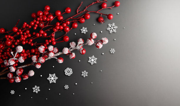 红色浆果和雪花的圣诞背景。图片下载
