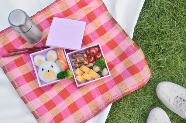 带便当盒的野餐图片图片下载