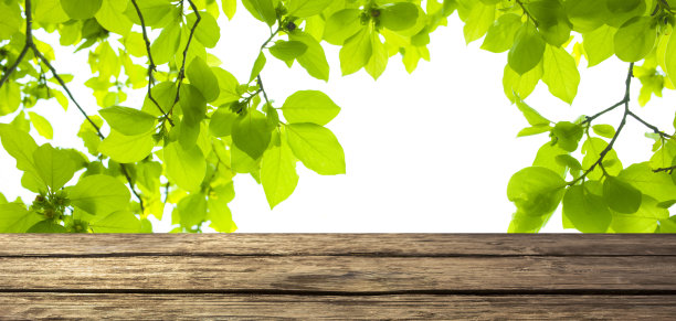 木桌与森林散景横幅图片下载