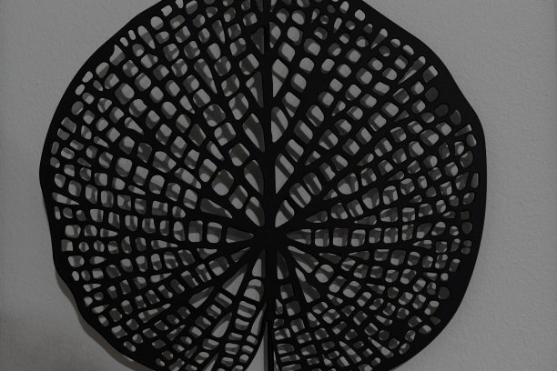 黑色细致的装饰在墙上的一片叶子上带着神经图片下载