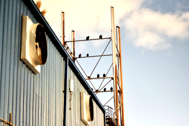 工业区情侣对话图片下载