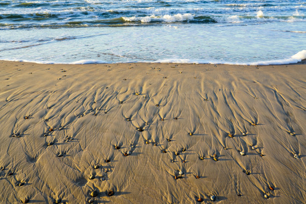 沙滩上的小卵石，风、水和阴影创造出有趣的沙子纹理图片下载