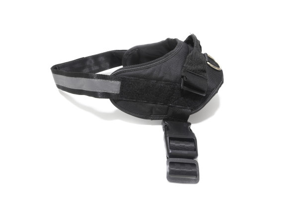 狗利用。孤立在白色背景上。图片下载