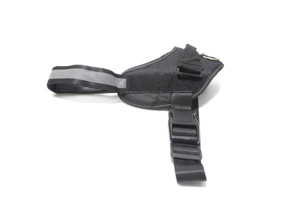 狗利用。孤立在白色背景上。图片下载