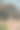 崎岖的海滩树图片下载