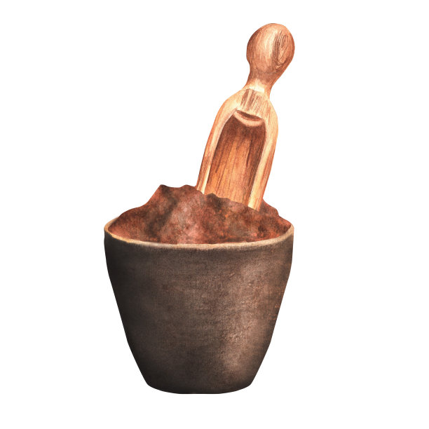 手绘水彩肉豆蔻粉在陶瓷碗与木勺图片下载