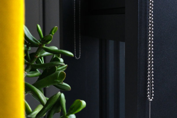 商务办公室细节——绿肥叶玉厂图片下载