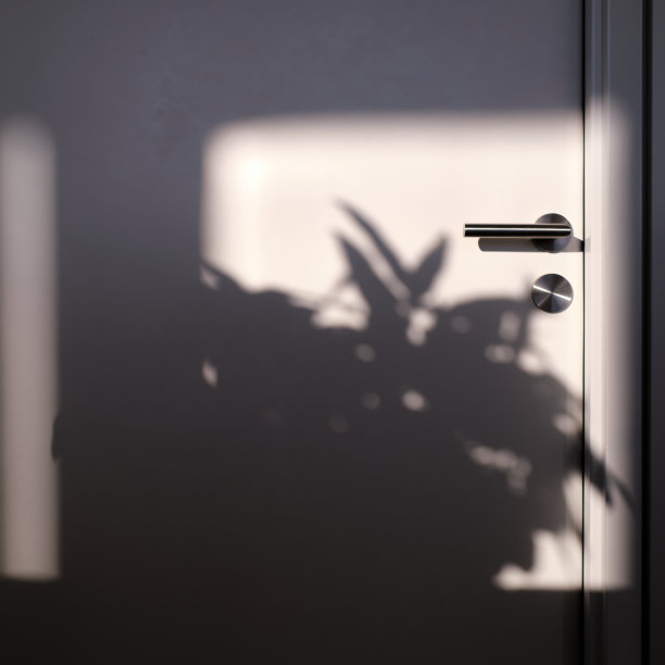 金属门把手细节，白色门上有办公室植物的影子图片下载