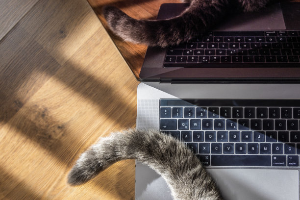 我的笔记本电脑被入侵了，图片下载