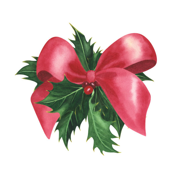 圣诞植物冬青与红色缎带蝴蝶结孤立在白色。水彩手绘圣诞插画。设计艺术图片下载