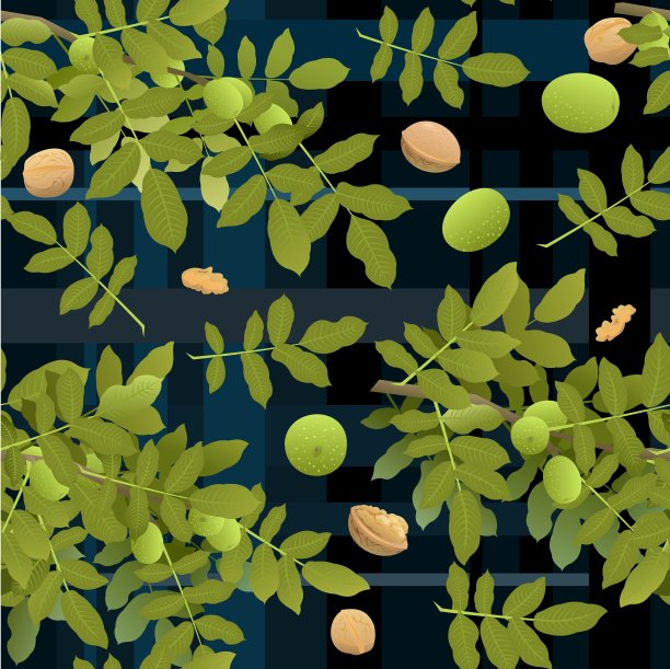 树枝核桃树，果实成熟。深色背景图片。可食用的园林植物。无缝图案组成。树枝上有叶子和叶子。向量图片下载