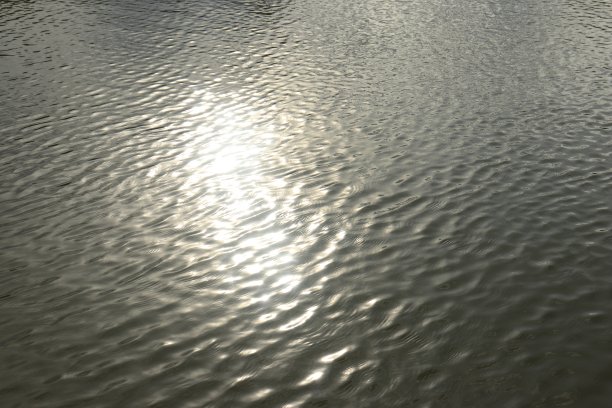 鱼塘中阳光和水波的反射。水背景纹理图片下载