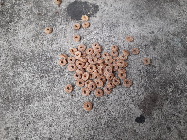 猫粮顶部视图与街道纹理背景。图片下载