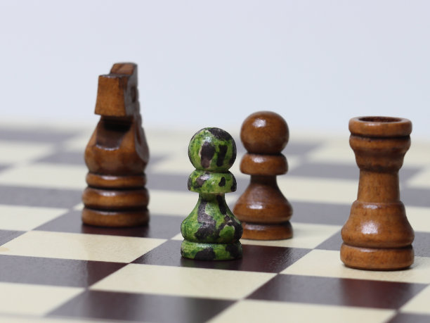 特种部队。策略。模仿。战争游戏。情报。破坏性的情报。战略思考。伪装。特殊的操作。陆军工程兵。军事情报。战争策略图片下载