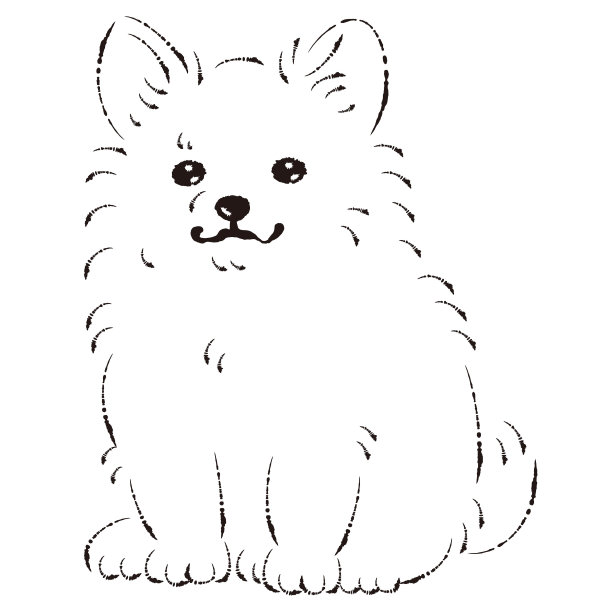 波美奇瓦(波美拉尼亚和吉娃娃杂交犬)的插图图片下载